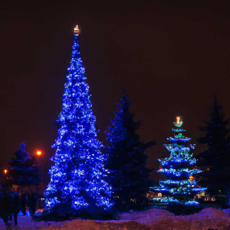 Ярославльдегі жаңа жылдық шырша - мереке үшін кемелді ағашты қалай таңдауға және безендіруге болады Жаңа жылдық шыршалар Ярославль