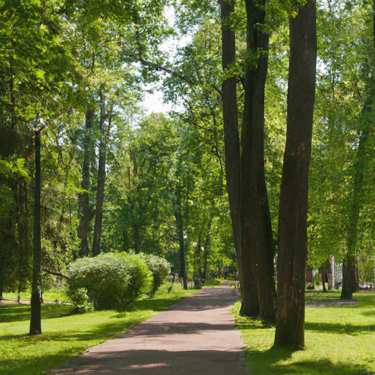 Достопримечательности рощи