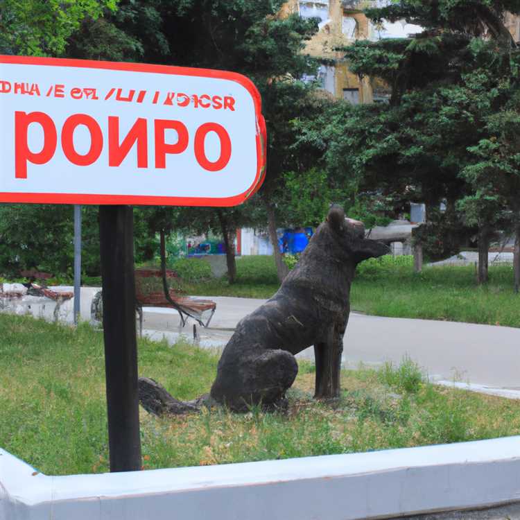 Ярославль қаласындағы иттерге арналған толық нұсқаулық - барлығы тұқымдар, қамқорлық, білім және қызметтер туралы Иттер Ярославль